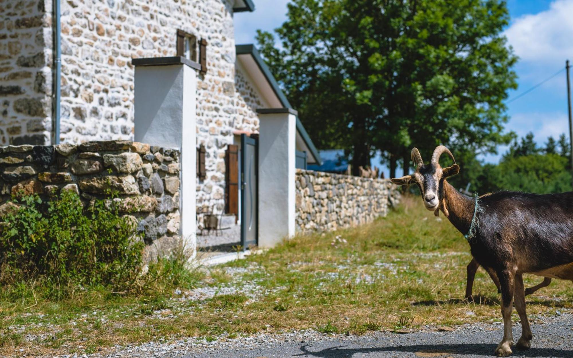 Holiday home La Ferme De Beauregard -lanarce 07660 - Jacuzzi Et Sauna *